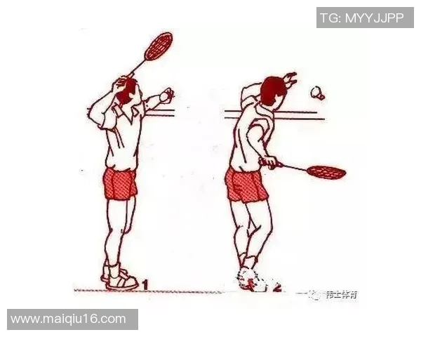 羽毛球战术解析南京羽毛球队的进攻策略与技巧深度剖析