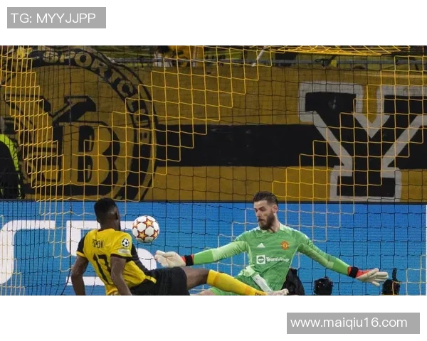 刘强畅谈羽毛球生涯与欧冠足球的精彩交汇与人生启示