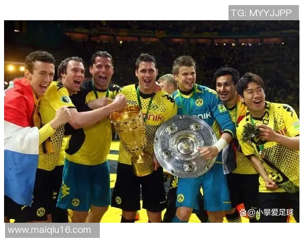 南京羽毛球队实力分析与欧冠足球表现的对比研究